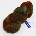 224 Autumn Forest