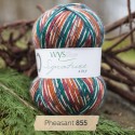 WYS Signature 4 Ply - Country Birds