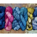 Malabrigo - Book 14 Mechita & Sock