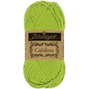 Scheepjes Cahlista 205 Kiwi