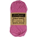 Scheepjes Cahlista 251 Garden Rose