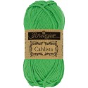 Scheepjes Cahlista 389 Apple Green