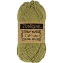 Scheepjes Cahlista 395 Willow
