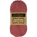 Scheepjes Cahlista 396 Rose Wine