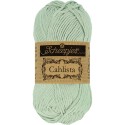 Scheepjes Cahlista 402 Silver Green