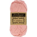Scheepjes Cahlista 408 Old Rose