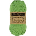 Scheepjes Cahlista 412 Forest Green