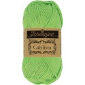 Scheepjes Cahlista 513 Apple Granny