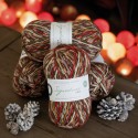 WYS Signature 4 Ply Robin 