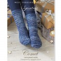 Patrón "Comet Lace Panel Socks"