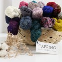 Malabrigo Caprino